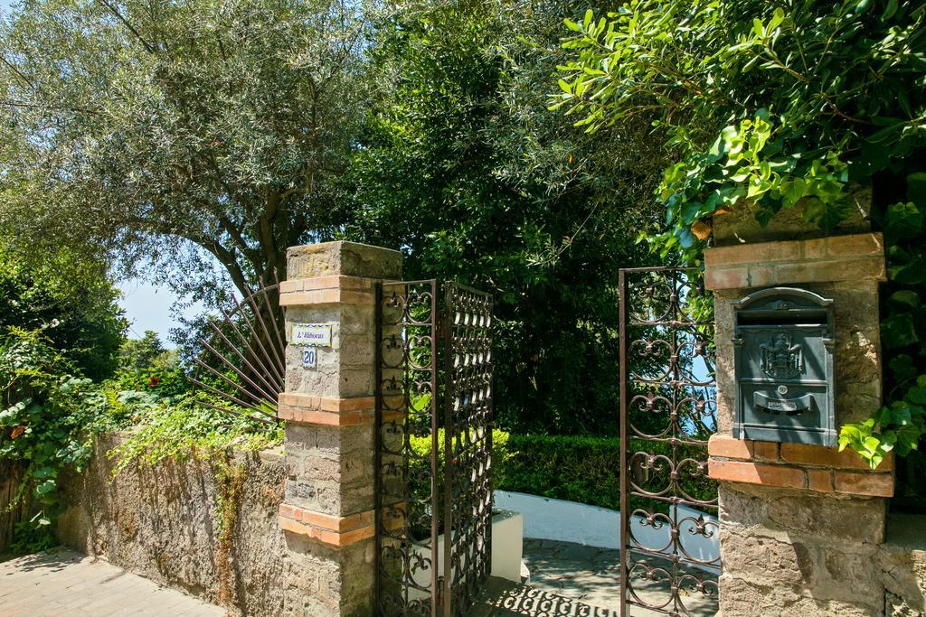 Villa Hibiscus Capri Exterior photo